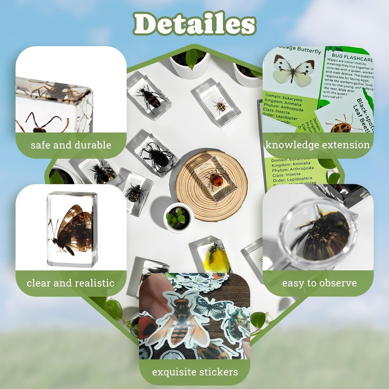 Artojoy Insect in Resin Specimen, 12 PCS Scientific Educational Bugs