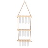 3 Tiered Wall Hanging Plant Terrarium with 12 Test Tubes