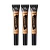 Ruby Kisses HD Brush Concealer & Foundation 3 Pack (Toffee)