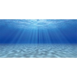 AWERT Undersea Theme Aquarium Background Sunshine Underwater World Fish Tank Background 36x20 inches