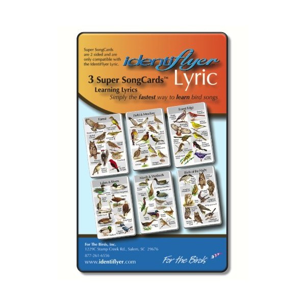 Identiflyer Lyric 2 Super Song Cards