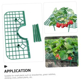 Milisten 6pcs Strawberry Supports Sturdy Legs Plant Holders Racks Growing Keeping Strawberries Clean Elevated Avoid Ground
