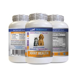 Pet Supplements Dog Joint Care Chews - Pets Turmeric Joint Health - for Dogs and Cats - Advanced Complex - Dog Turmeric - 1 Bottle (60 Tablets)