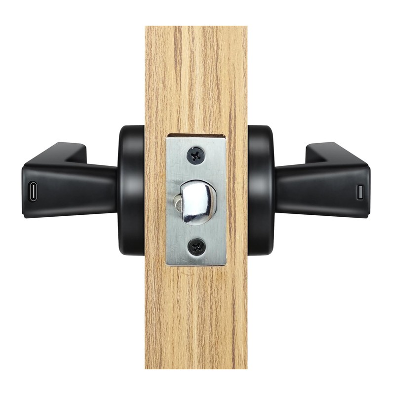 ETEKJOY Smart Door Lever Lock 4-in-1 App+Fingerprint+Passcode+Key Left/Right Reversible Handle
