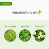 Mediheal Tea Tree Care Solution Essential Mask EX (20)
