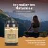 TIBET NATURA - Melena de León - 90 Cápsulas de