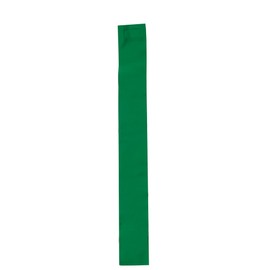 Champion Sports Football Replacement Flag - Green