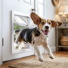 3-Panel Airseal Dog Door Replacement Flap with 304 Stainless Steel