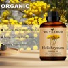Helichrysum Essential Oils Organic, 240ML Pure and Natural Helichrysum Essential