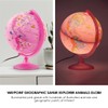 Waypoint Geographic Safari Explorer Animals Globe, World Globe, 10” Illuminated