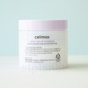 cellimax Celimax Houttuynia cordata Baja eraser pads 60 sheets (2)