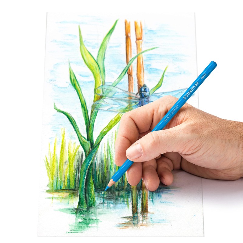 STAEDTLER 14610C M12 Design Journey Watercolour Pencils - Assorted Colours