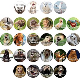 1120 Pcs Animal Reward Stickers Hilarious Motivational Positive Teacher Stickers for Kids, 28 Vibrant Designs Fun Animal Stickers Come in Envelope for All Ages Students Grading (1120)