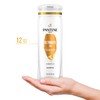 PANTENE PRO-V Ultimate 10 Shampoo, 12oz/355mL