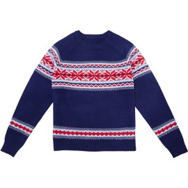 Blueberry Pet Unisex Holiday Chic Secret Fair Isle Style Pullover Sweater in Navy Blue, Medium