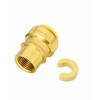 EFIELD Push-fit 1"x 3/4" Female NPT Adapters Brass Fittings, Push-to-Connect,