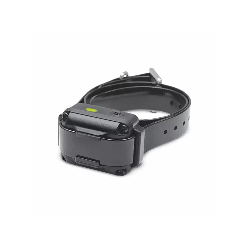 Dogtra iQVibe Vibration Only No Bark Dog Rechargeable & Waterproof