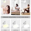 Ceiling Fan with Lighting Fixture, Plug-in Type, with Remote Control