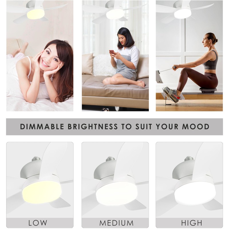 Ceiling Fan with Lighting Fixture, Plug-in Type, with Remote Control