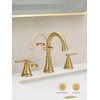 Fransiton Widespread Bathroom Sink Faucet 3 Hole, Brushed Gold Bathroom