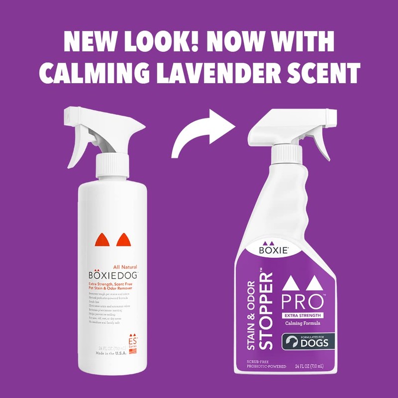Boxie® Pro™Probiotic Calming Lavender Stain & Odor Stopper™ for Dogs,