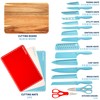 Country Living 20-Piece Kitchen Knife Quality Stainless-Steel Blades with Guards,
