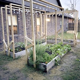 JIYUANCH Tomato Support Hooks with String,10 Pack Tomato Trellis Roller Hooks with 49.2FT String for Plant,Greenhouse Tomato Flower Vine Twine Crop Trellis Kit Plant Roller Hook