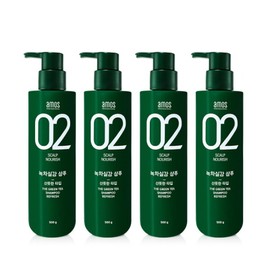 Green tea experience Amos Green Tea Realistic Shampoo for oily skin 500g (refreshing type) 4 pcs / 아모스 녹차실감 샴푸 지성용 500g (산뜻한타입) 4개