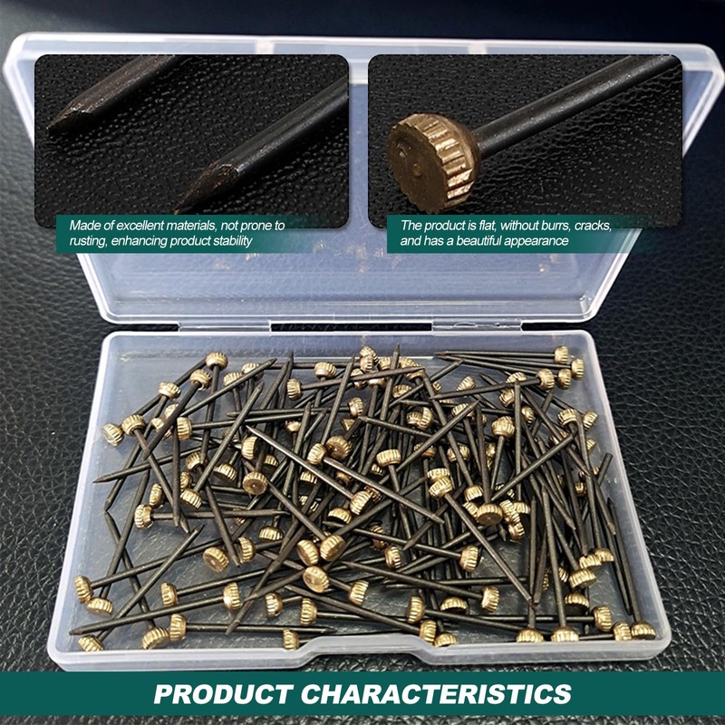 Picture Pins Nails, 100pcs Picture Hanging Nails for Wall Pins