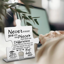Doctor Appreciation Gifts for Women Men, Going Away Gift Retirement Gift for Doctor Coworker, Never forget you are the Piece that Made the Difference, Thank You Doctor Plaque-DX141
