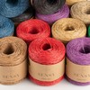 Sensy Premium 274 Yards Raffia Yarn (Purple)