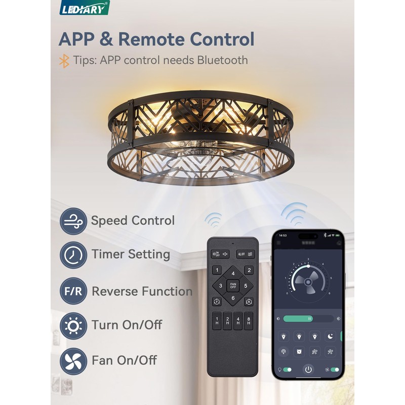 LEDIARY 20" Caged Ceiling Fan with Light, Small Flush Mount