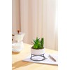 AMOYINC 3 Packs Artificial Plants & Greenery with Ceramic Planters,