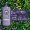 Herbal Essences Acondicionador Antifrizz Lavanda 240 ml