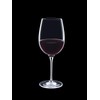 Luigi Bormioli Vinoteque 20 oz Ricco Red Wine Glasses, 6
