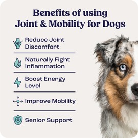 Summit Canine Joint and Mobility Supplement for Medium Dogs (Previously Lift), All Natural Liquid Chondroitin, Liposomal Delivery for Arthritis, Hip & Joint Support Vitamin, (Dogs, 25-75lbs)