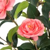 Datietiao Artificial Camellia Tree 2 Pack - Realistic Camellia Plants