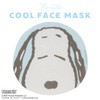 Shobido SN32997 Snoopy Cool Series Cool Face Mask (Green)