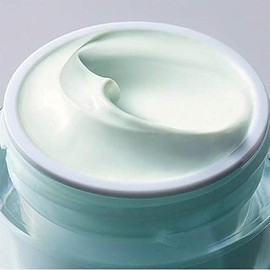 Estee Lauder Day Wear