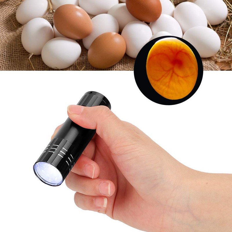 GLOGLOW Egg Candler, Egg Candling Lamp Incubator Tester Battery Operated