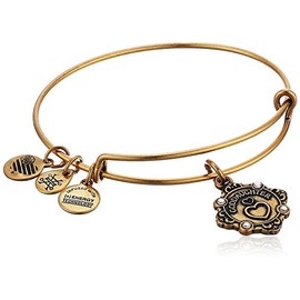 Alex and Ani Womens Because I Love You A18BILY08RG Goddaughter Charm Bangle Bracelet, Rafaelian Gold, Expandable