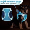 Small Dog Harness and Leash Set, No Pull Adjustable Reflective