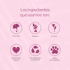 Tinta Multiusos para labios, mejillas y párpados - TEIA cosméticos