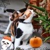 PUPTECK Breakaway Cat Collar with Bell Charm, 2 Packs Adjustable