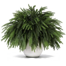 FLAGLY 12 Pcs Christmas Norfolk Pine Branches, 18" Artificial Soft Greenery Stems with Flexible Wire for Vase Filler, Garland, Wreath, DIY Crafts, Faux Pine Picks Indoor Outdoor Decor