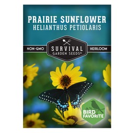 Native Prairie Sunflower Seeds for Planting (Helianthus petiolaris) | Compact Drought Tolerant | Pollinator Magnet | Non-GMO Wildflower to Plant - Survival Garden Seeds - 1 Pack