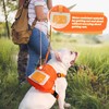 Bagentry Orange Dog Harness Backpack with Leash & Poop Bag
