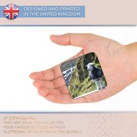 Destination Vinyl ltd Fridge Magnet - Cute Herwick Sheep Lamb for Office, Cabinet and Whiteboard, Magnetic Stickers, 44781