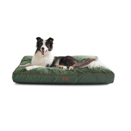 Bedsure Waterproof Dog Beds for Extra Large Dogs - 4 Inch Thicken Up to 100lbs XL Pet Mat Pillows with Removable Washable Cover, Green