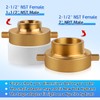 Brass Fire Hose Adapter, 2-1/2" NST Female x 2" NPT